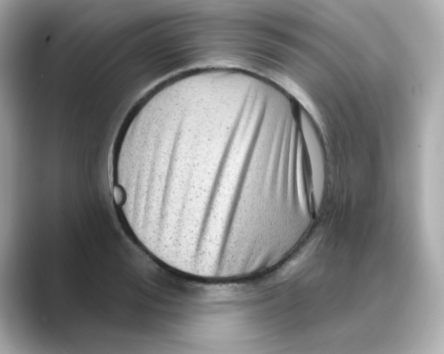 X0000088670988200706211848