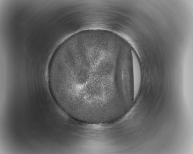 X0000088670990200706211848