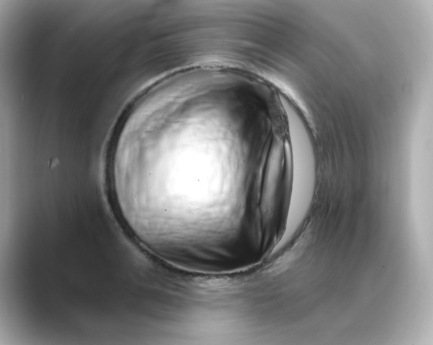 X0000088670991200706211848