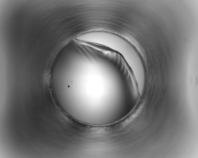 X0000088670993200706211848
