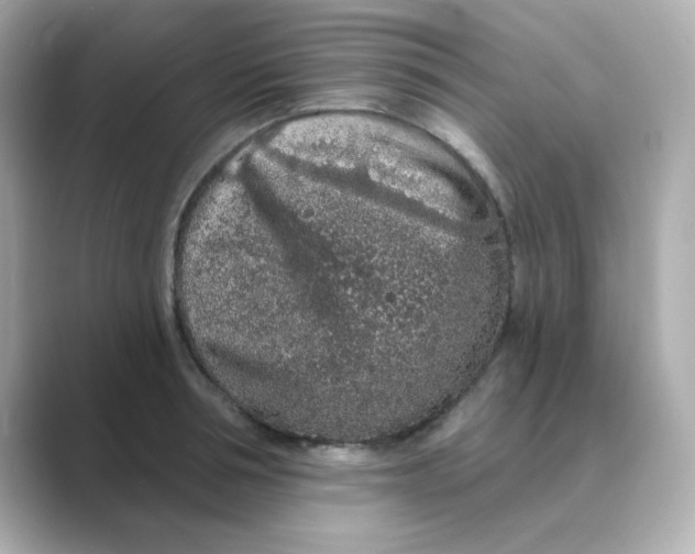X0000088670994200706211848