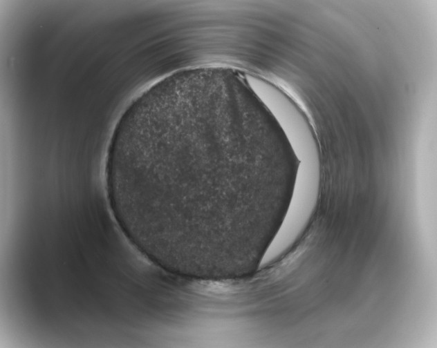 X0000088670995200706211847