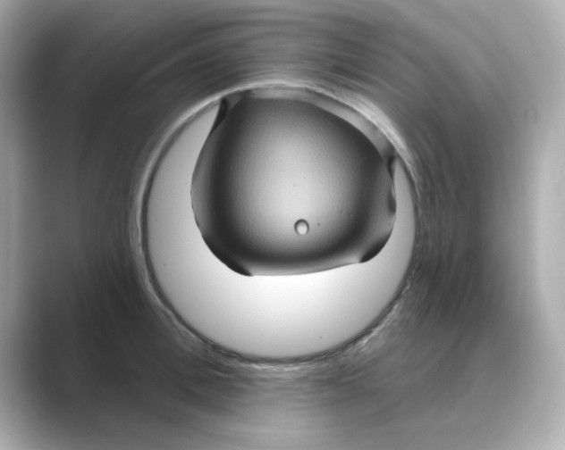 X0000088670996200706211847