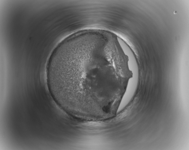 X0000088670998200706211847