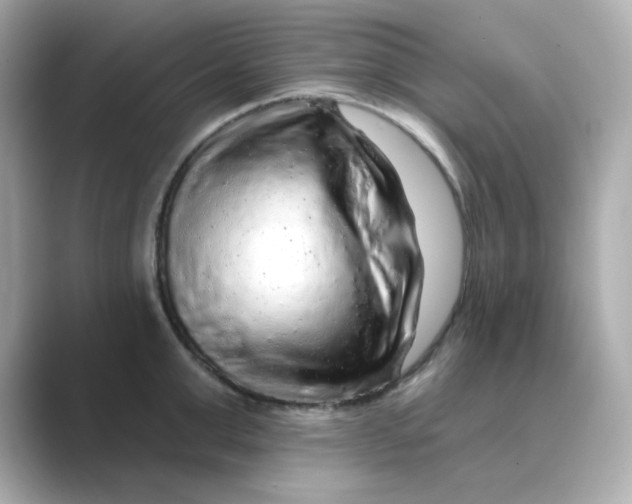 X0000088670999200706211847