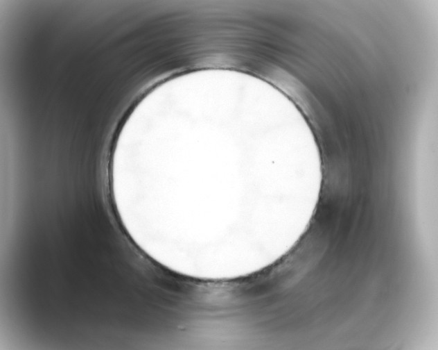 X0000088671000200706211847