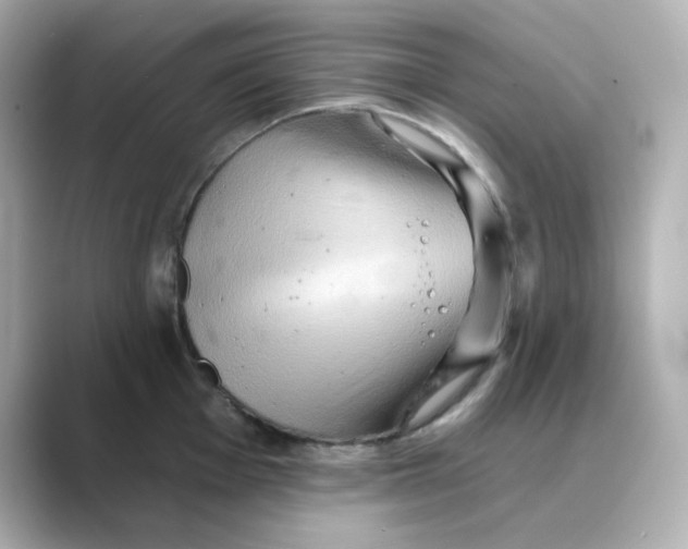 X0000088671001200706211847