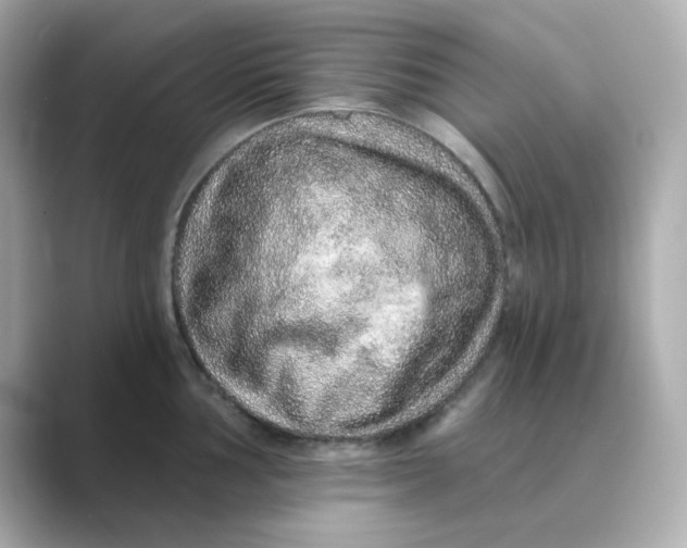 X0000088671002200706211847