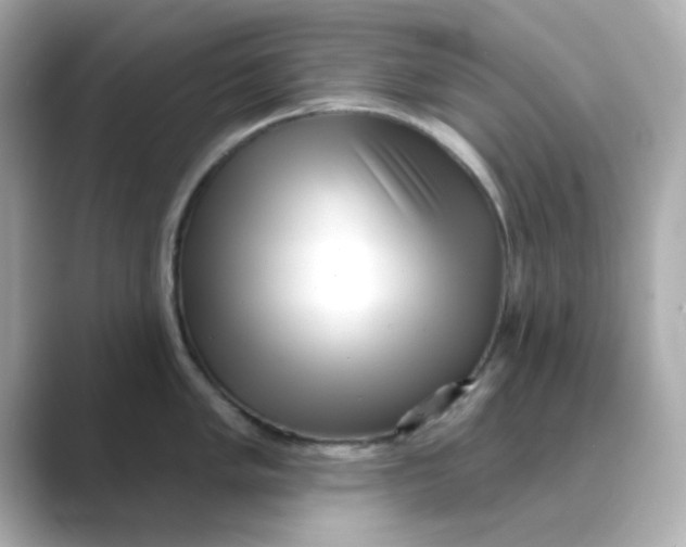 X0000088671005200706211847