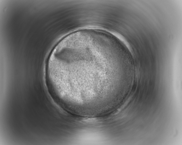 X0000088671006200706211847