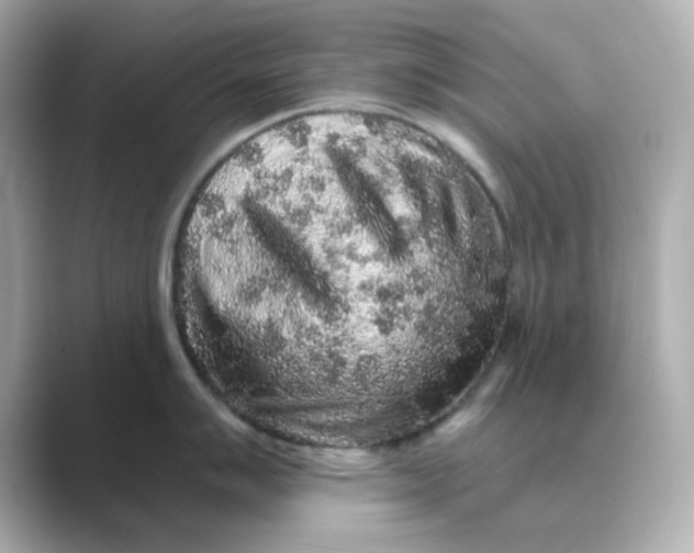 X0000088671007200706211847