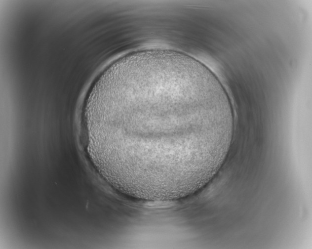 X0000088671008200706211847
