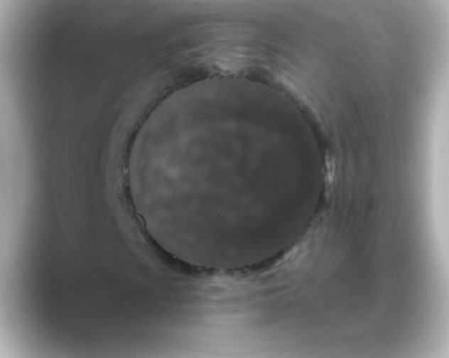 X0000088671009200706211847