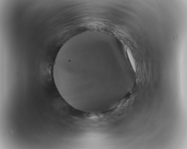 X0000088671013200706211847
