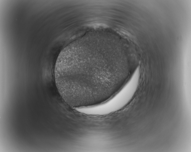X0000088671014200706211847