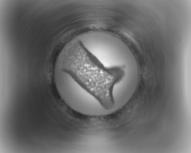 X0000088671015200706211847