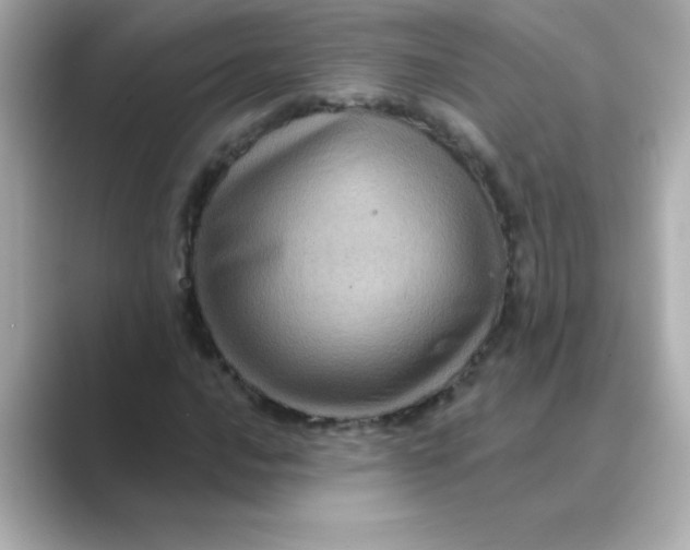 X0000088671016200706211847