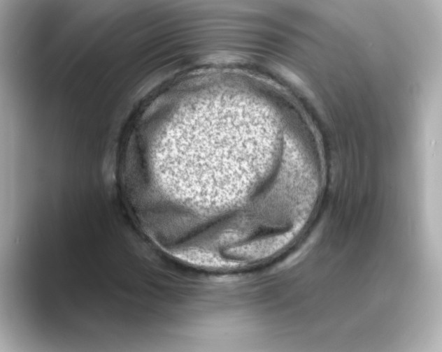X0000088671017200706211847