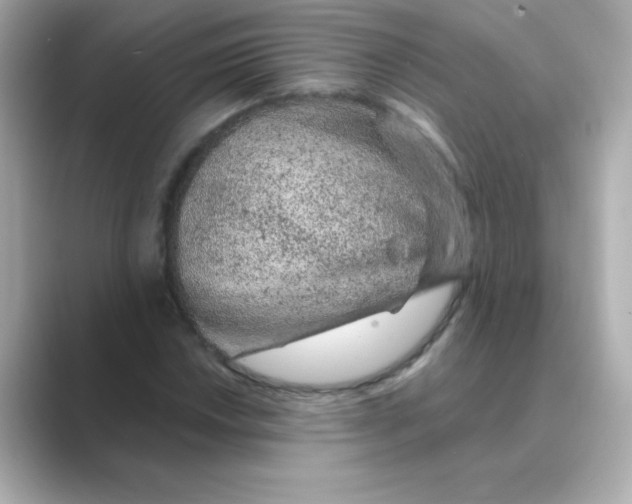 X0000088671018200706211847