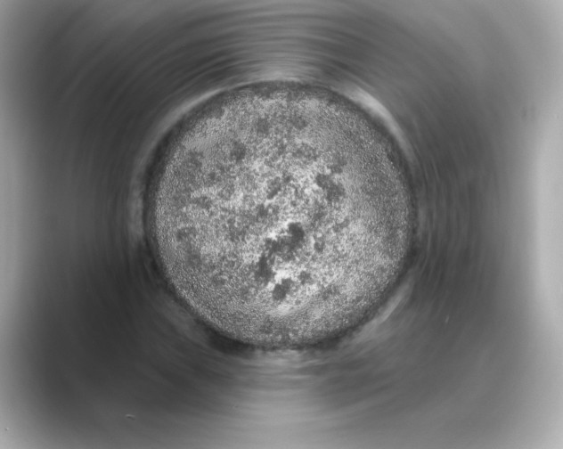 X0000088671019200706211847