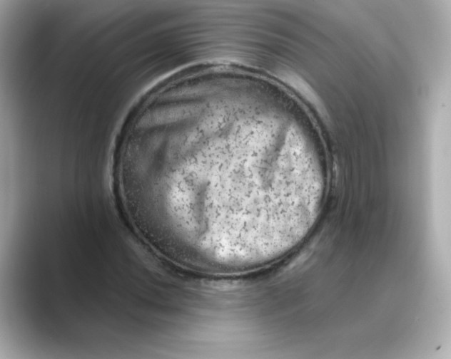 X0000088671020200706211847