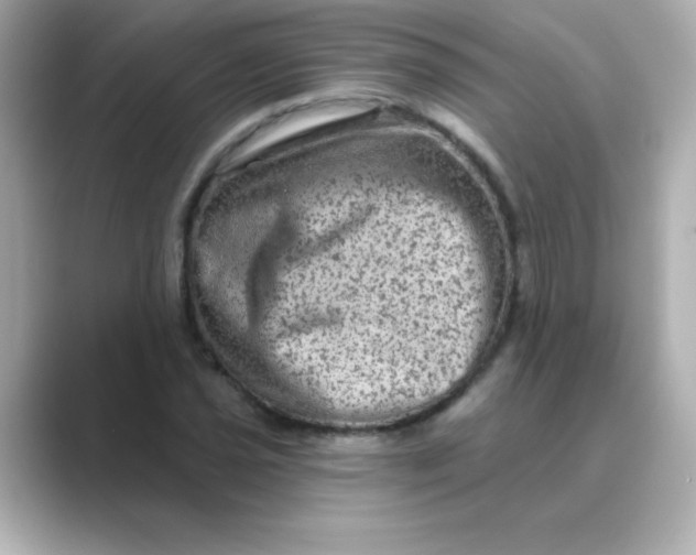 X0000088671021200706211847