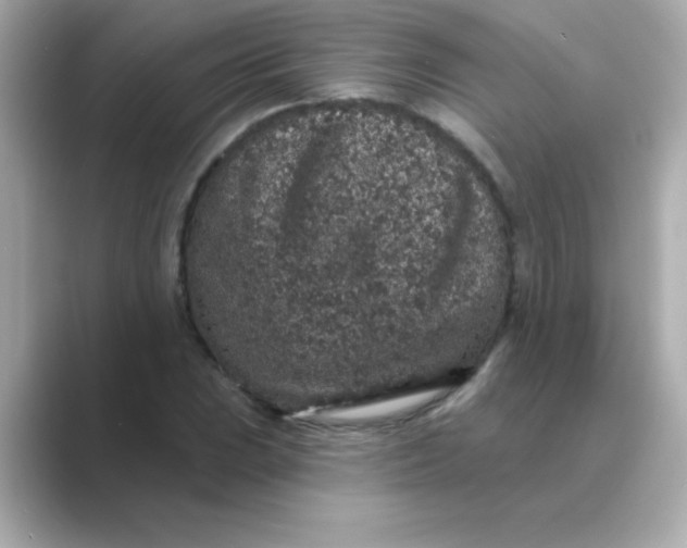 X0000088671023200706211847