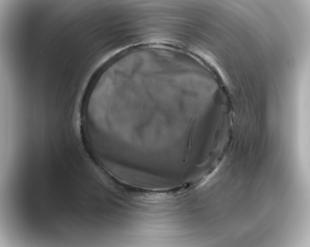 X0000088671024200706211847