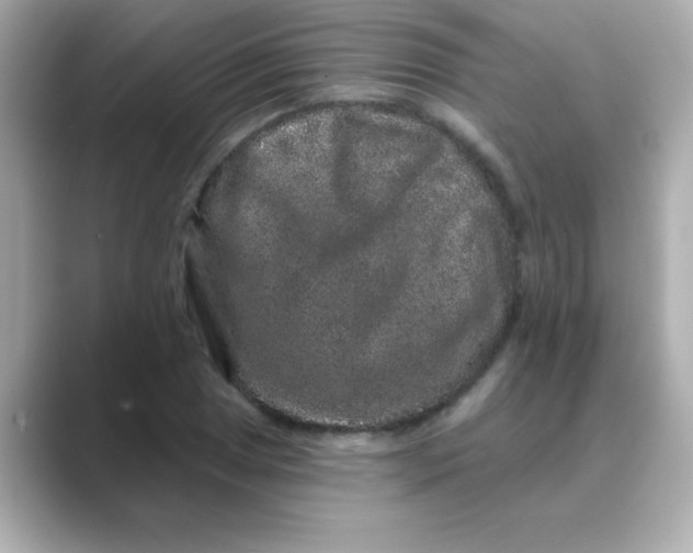 X0000088671025200706211847