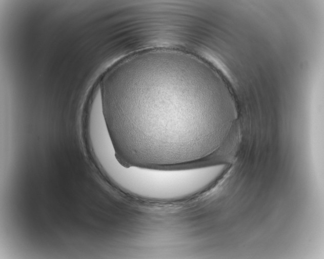 X0000088671026200706211847