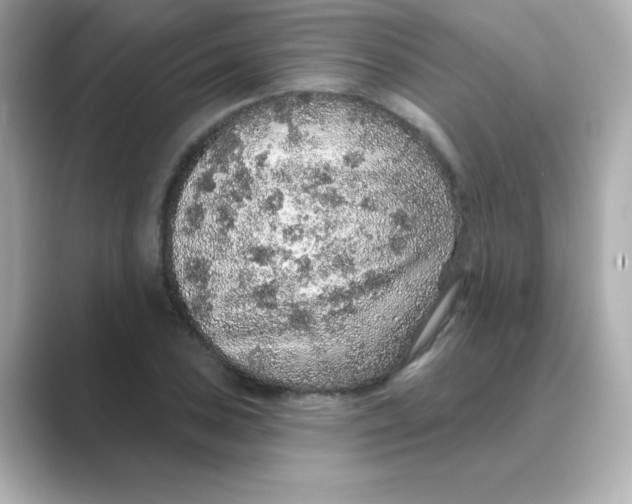 X0000088671027200706211847