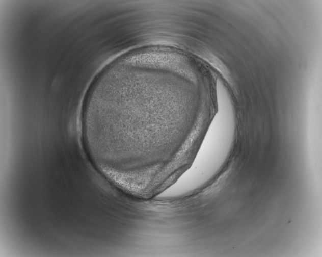 X0000088671028200706211847
