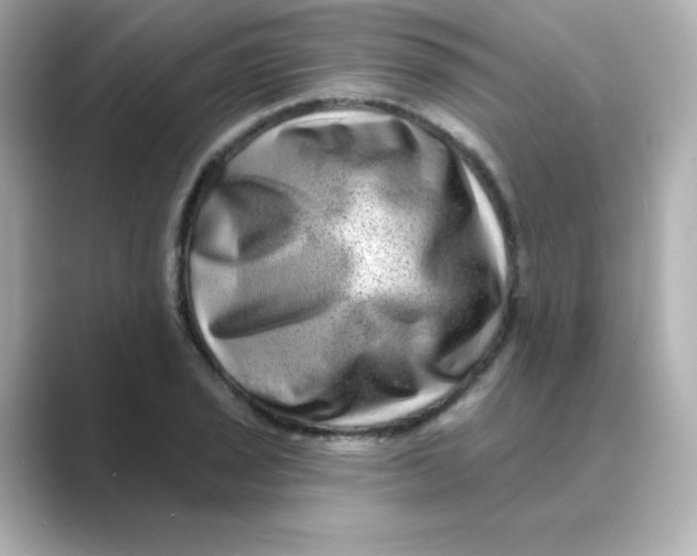 X0000088671029200706211847