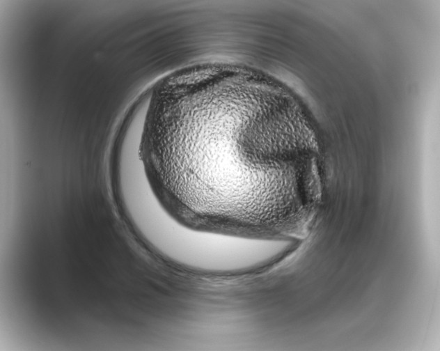 X0000088671030200706211847
