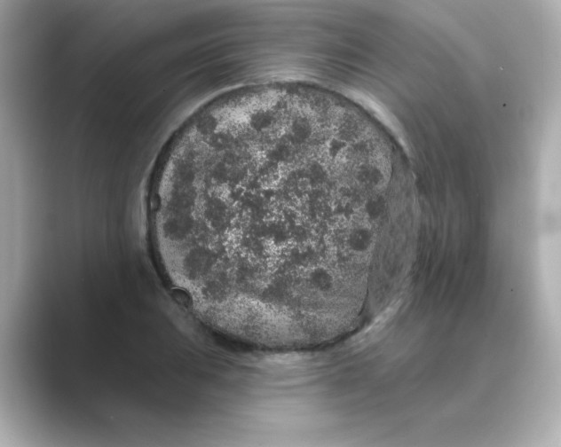 X0000088671031200706211847