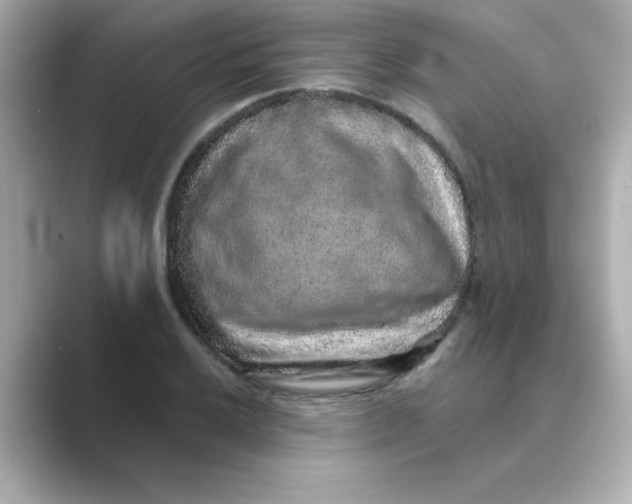 X0000088671032200706211847
