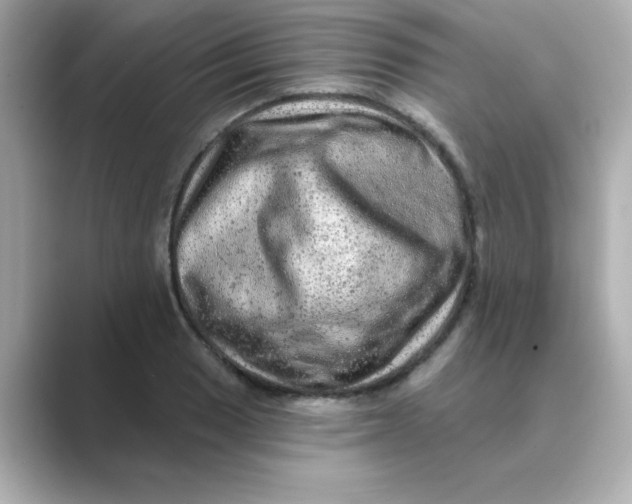 X0000088671033200706211847