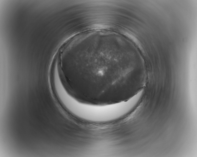 X0000088671034200706211847