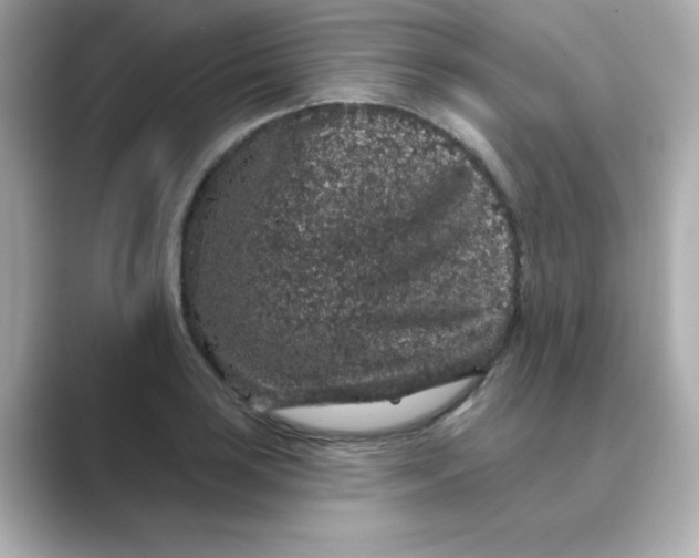 X0000088671035200706211847
