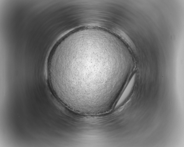 X0000088671036200706211847