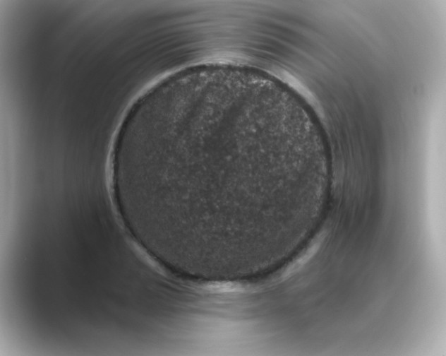 X0000088671037200706211847