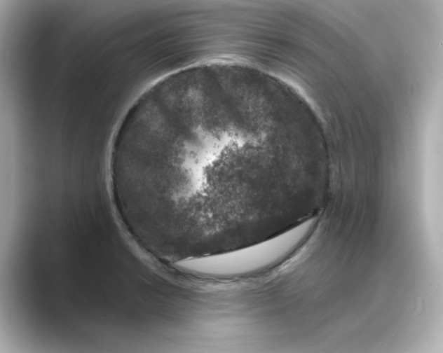 X0000088671038200706211847