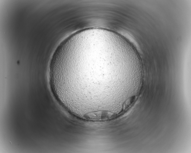 X0000088671040200706211847