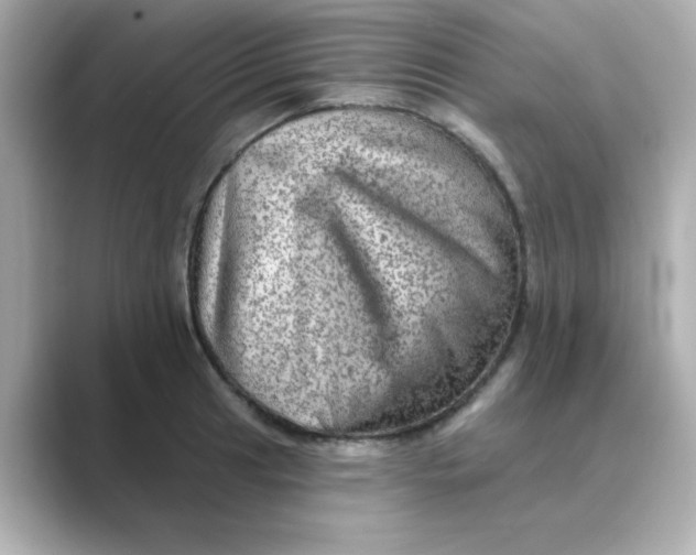 X0000088671041200706211847