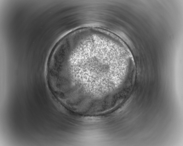 X0000088671044200706211847