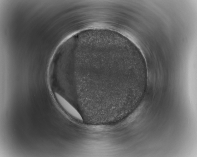 X0000088671045200706211847