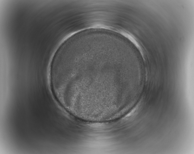 X0000088671048200706211847