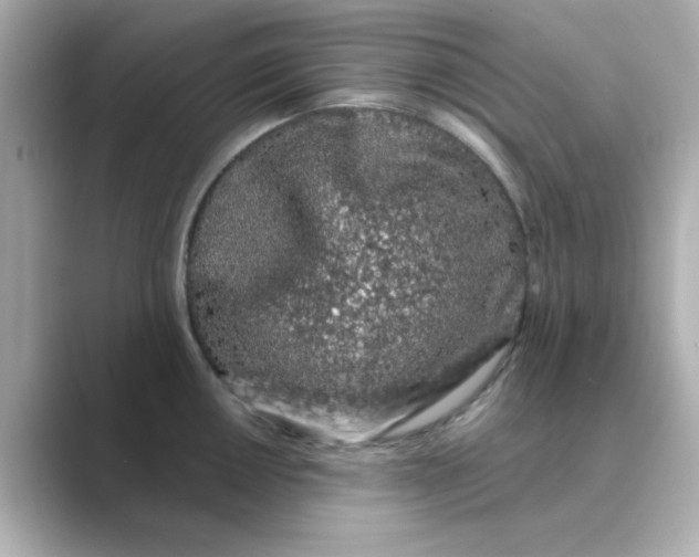 X0000088671050200706211847