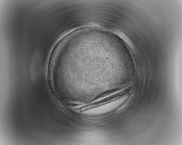 X0000088671052200706211847