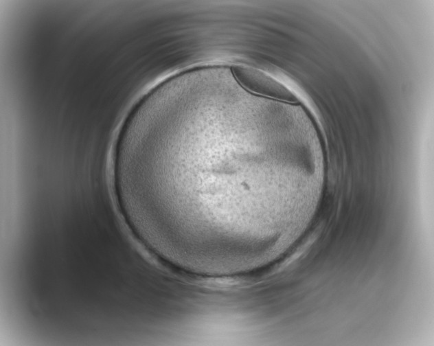 X0000088671053200706211847